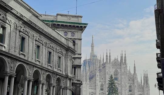 buy weed in Milan (2026)