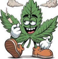 best cannabis shop 2026